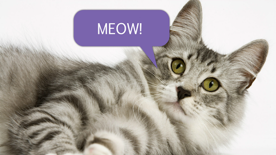 Lastest Cat's Translator APK for PC