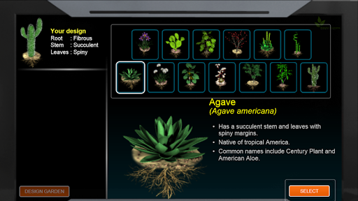 Plant Survival Adaptations