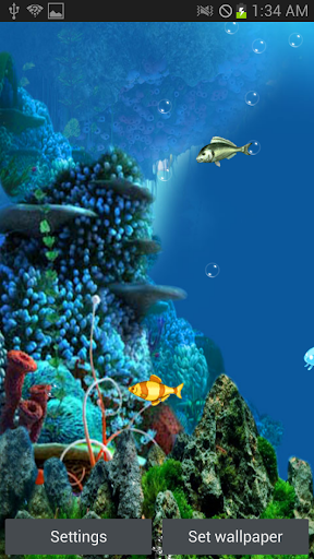 Bubble Aquarium Wallpaper