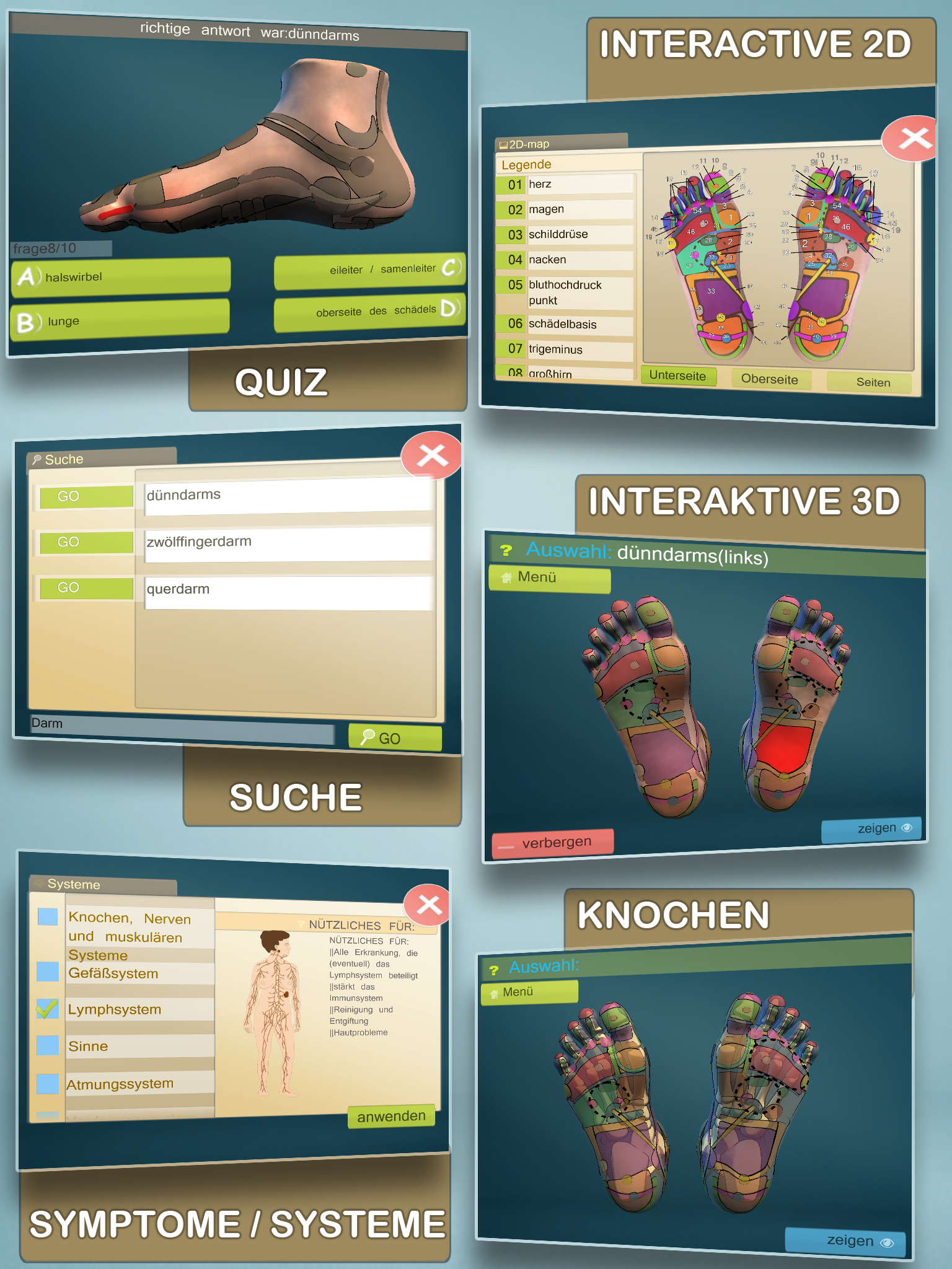 Android application Total Reflexology 3D screenshort