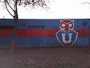 Mural U. de Chile