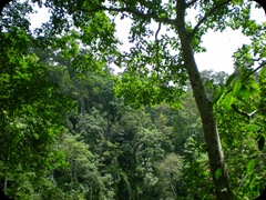 waterfall sendang gile air terjun