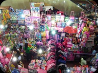 DSC01685