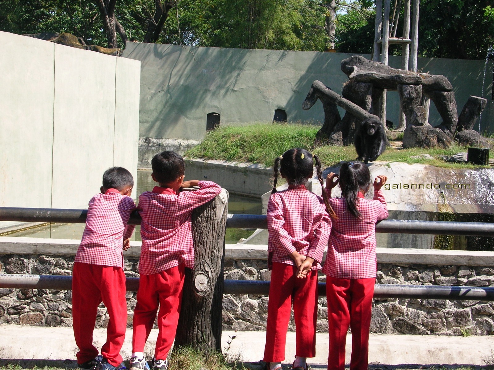 [anak dan simpanse[4].jpg]