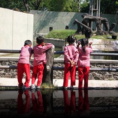 anak dan simpanse