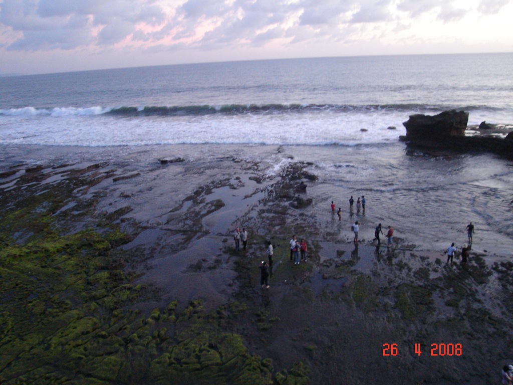 [DSC03594[4].jpg]