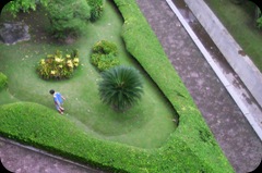 taman di F Psi