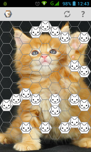 【免費解謎App】Cute Cats Puzzle-APP點子