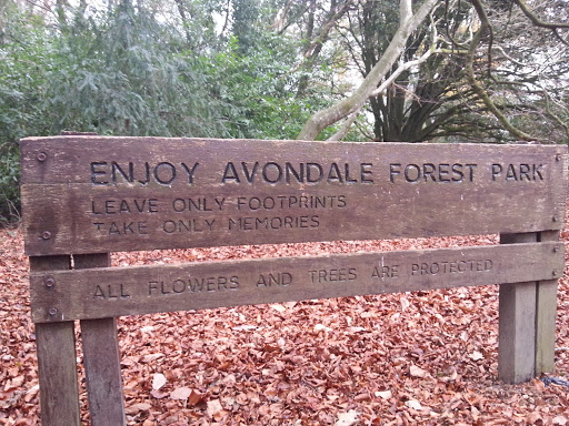 Leave only Foot Prints, take only Memories.  Avondale Forest 
