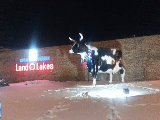 Land O Lakes Dairy Cow