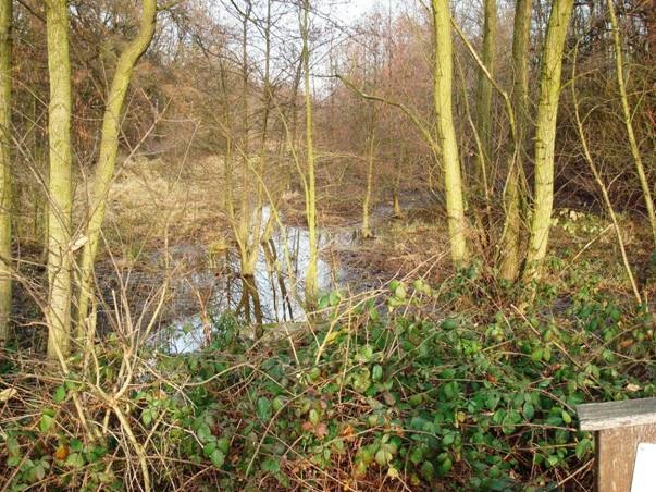 [clip_image002[3].jpg]