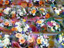 Fotos Gratis Naturaleza - Flores - Tienda