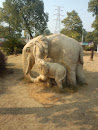 大象带小象
