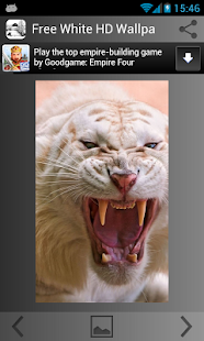 Bílé Pozadí HD zdarma - náhled