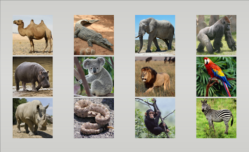 Animal sounds Screenshots 12