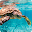 Africa Vacation Live Wallpaper Download on Windows