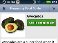 Pregnancy Food List