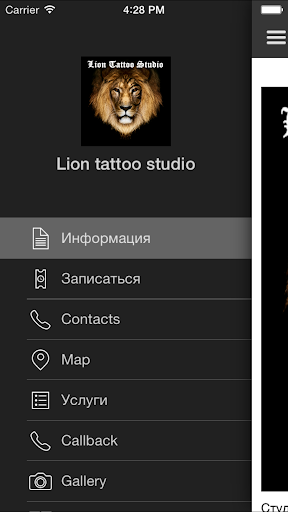 Lion tattoo studio