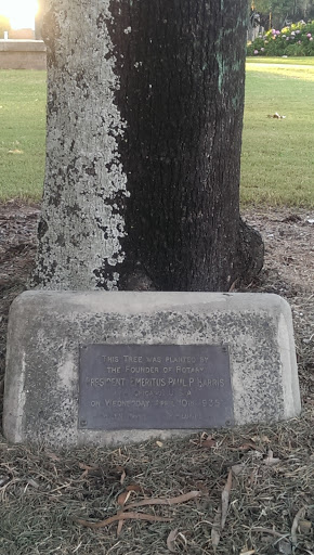 Paul P. Harris Memorial Tree