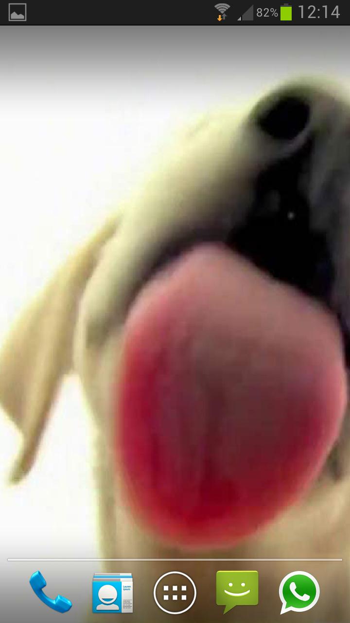 DOG SCREEN CLEANER LWP PRO Screen 3