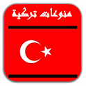 Turkish Music icon