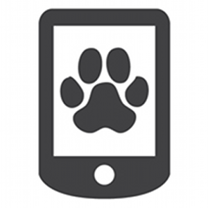 Veriwalk.apk 1.1