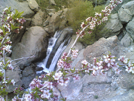 شکوفه  و آبشار قبل شیرپلا