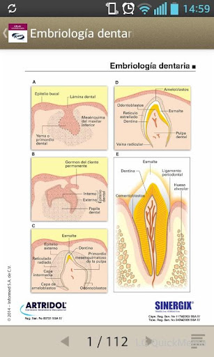 【免費醫療App】Miniatlas Odontología-APP點子