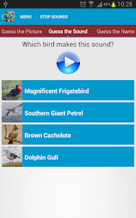 South American Birds Sounds Screenshots 20
