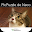 パズルdeネコ Download on Windows