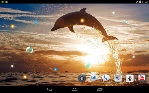 【免費個人化App】Dolphins Night live wallpaper-APP點子