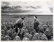 Kleinschalig akkerbouwbedrijf