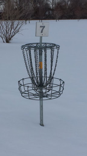 Disc Golf Basket #7