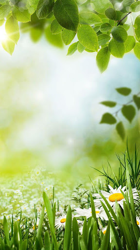 Green Spring Live Wallpaper