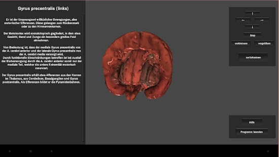 Free Download Brain 3D APK for Android