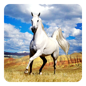 Free Horse Wallpaper for Kindle Fire