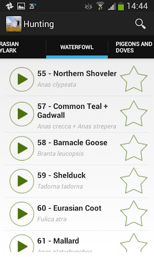 【免費運動App】Hunting - birdcall birdsong-APP點子
