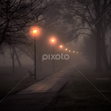 Foggy Morning Walk Along the River by Gary Hanson -  
