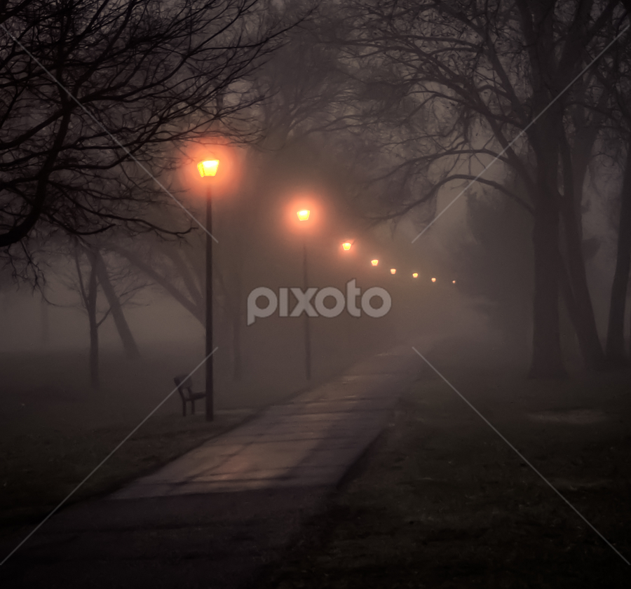 Foggy Morning Walk Along the River by Gary Hanson - City,  Street & Park Street Scenes