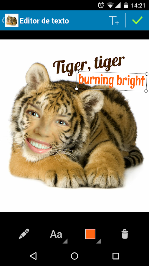 Pho.to Lab PRO: foto-montagens - screenshot