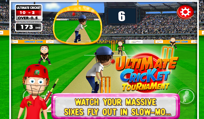 Ultimate Cricket Tournament Screen 3