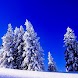 Wallpaper Winter