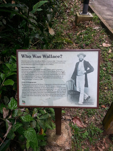 Who Was Wallace? 