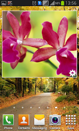 Slide Album by Dream Soft poster 8