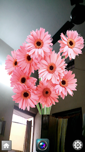 Lastest Flowers Camera APK for PC
