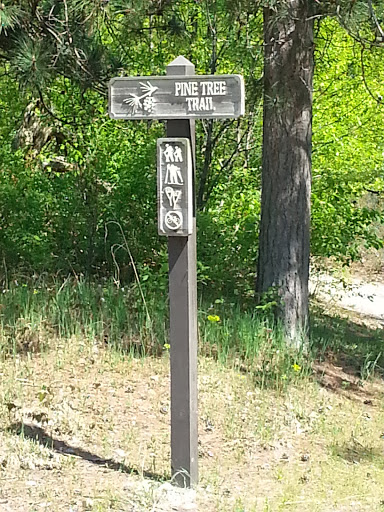 Pine Trees Trail -  Presque Isle State Park