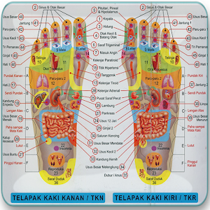 Download pijat refleksi kaki APK on PC  Download Android 