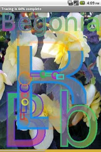 Easy Flower Alphabet 2 FREE - náhled