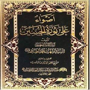 اضواء على ثورة الحسين 1.0