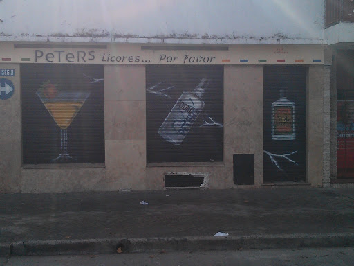 Murales Alcohólicos En Persianas